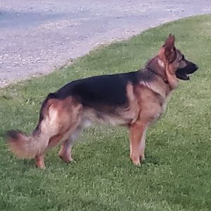 Meet your Posher, Jerry